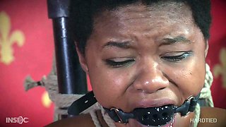 Black and ebony babes get a stiff dick