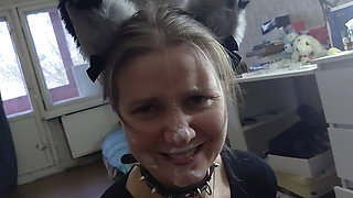Sexy Kitty Eats From a Bowl and Licks Her Master's Feet - Lovessie