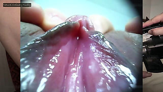 Reunionheat with Moe, Her Scented Warmth Returning After Eight Months of Distance