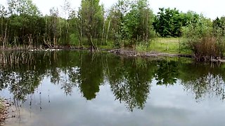 French woman with big tits gets banged outdoors