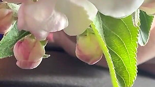 Sneezing From This Flower and It Gets Wild in Car