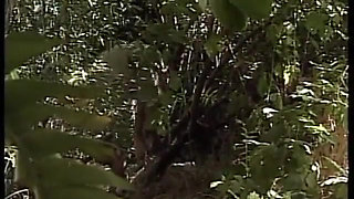 Fucking Blonde with Big Tits in Jungle Until She Takes Creampie