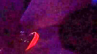 Glow in the Dark Nye Anal Pegging