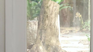 Presenting: the Perfect Body