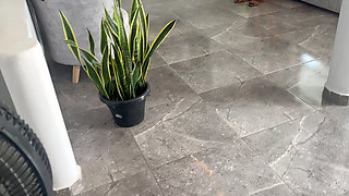 I HAVE AN ACCIDENT WITH MY NEIGHBOR AND HER AXULIO IS TO PUT MY COCK IN HER