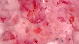 Medical Endoscope Oral Exam: Gummy Chewing, Extreme Teeth & Tongue Macro