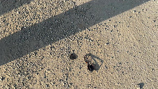 First Time Sucking Dick in Another Country. Does It Taste Different?