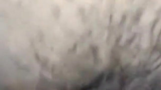 Indian Bengali Lovers Couple Sex Close-up Porn