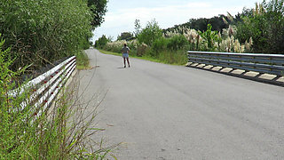 Patricia on the Bridge Over the Road
