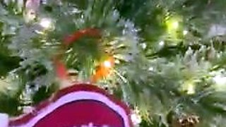 Amateur webcam babe dildo masturbation