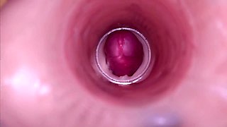 Grandfathers & Grandmothers Pop-shots