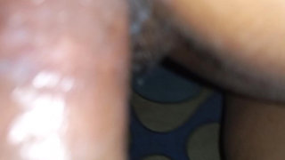 Goa Bandbir Cracks Video with Bengali Story Sign