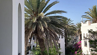 Aunty in Oc Girdle and Sheer Dress