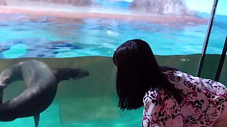 336DTT-086　最高の人妻と、最高の中出しデート。 F乳スレンダー妻と背徳中出し2連発！！