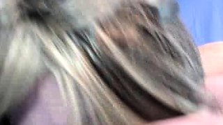 POV blowjob for big cock from blonde MILF