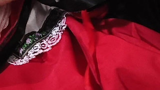 Oops I Spilled on My Dress Bavarian King Now I'm Wet