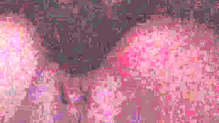 We compensate by playing and we end up fucking