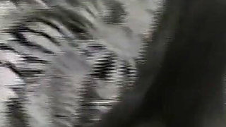 A Pussy Delisioza