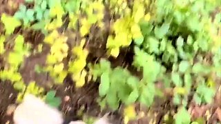 public play behind the neighbours house