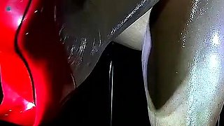 The Shiny Shadowlegs of Miss a.