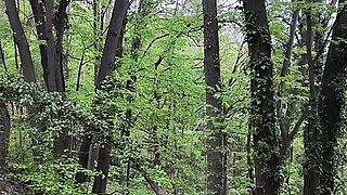 Little Naked Walk in the Forest
