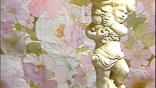 The Male Suckers (1982)