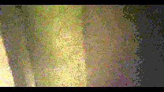 Special Request for Robert