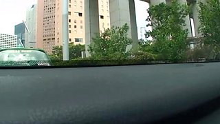 Asian dp Brown bunny Miho ichiki roundbooty perfectasia