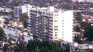 Playful Prince and Ashley's blowjob porn