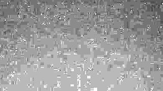 Lexi Long Legs - Princess Leia Foot Worship