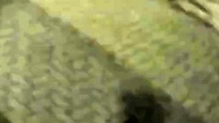 My Slave Walks Naked and Pees in the Streets and then I