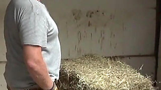 Lady Claire and the Farm Hands