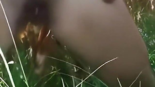 The Harlot Is Very Provocative