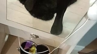 Wet Masturbation in Panty Stockings