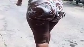 Synsational Compilation