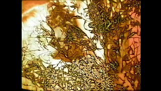 "Our origin xxx... - Vol. 14