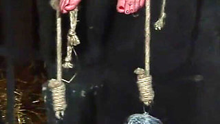 Blonde Girl Has Weights Attached to Her Feet and Is Hoisted up for Whipping