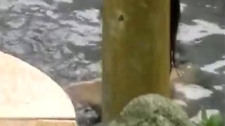 Sensuous amateur ex girlfriend hidden cam