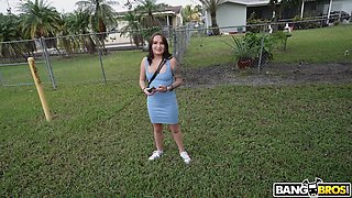 A Cute Bunny In The Bus