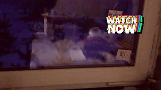 Amateur slut gives handjob and get cumshot in hd