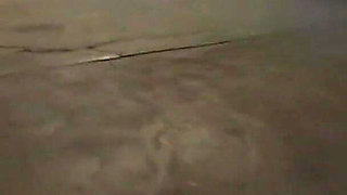 Part 1 with the Tide Running up, a Sex Flood Warning Is Sweeping Social Media-men Are on the Hunt!