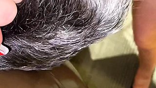 Shy amateur cam girl toying around with her pussy up close