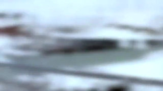 Sexy Beach Wants Sex