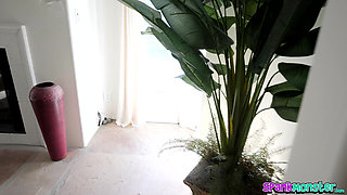 Teen Stepsister Dixie Lynn Tricked Into Playing Hide and Seek