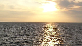 Fuck on Traveling - Blonde Lisa Fucked Doggy, Dildo & Fingering