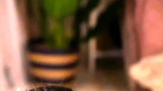 Hot babe with perfect big boobs taking shower