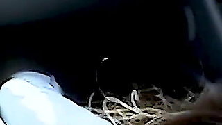 Berlin Ku'dammraser Drags Horny Chick off