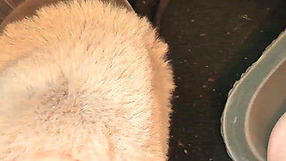 Lake Foot Worship - Stranger Licks Ass & Pussy to Orgasm