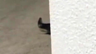 She Knows That Playing with a Dildo Is a Good Way to Make Hot Foreplay