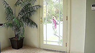 Kara Price In Watch Emotional And Passion Bs Xxx